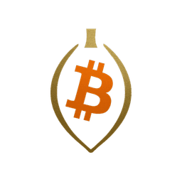 Bitcoin Beans Logo
